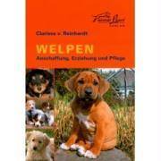 Welpen Anschaffung, Erziehung und Pflege