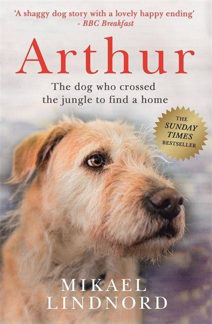 Arthur The dog who crossed the jungle to find a home *SOON TO BE A MAJOR MOVIE 'ARTHUR THE KING' STARRING MARK WAHLBERG*