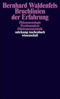 Bruchlinien der Erfahrung Phänomenologie, Psychoanalyse, Phänomenotechnik