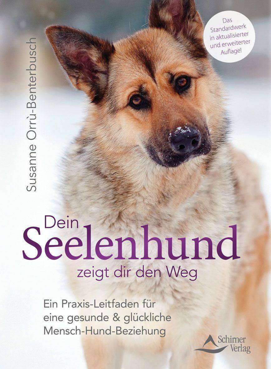 Dein Seelenhund zeigt dir den Weg Ein Praxis-Leitfaden für eine gesunde und glückliche Mensch-Hund-Beziehung