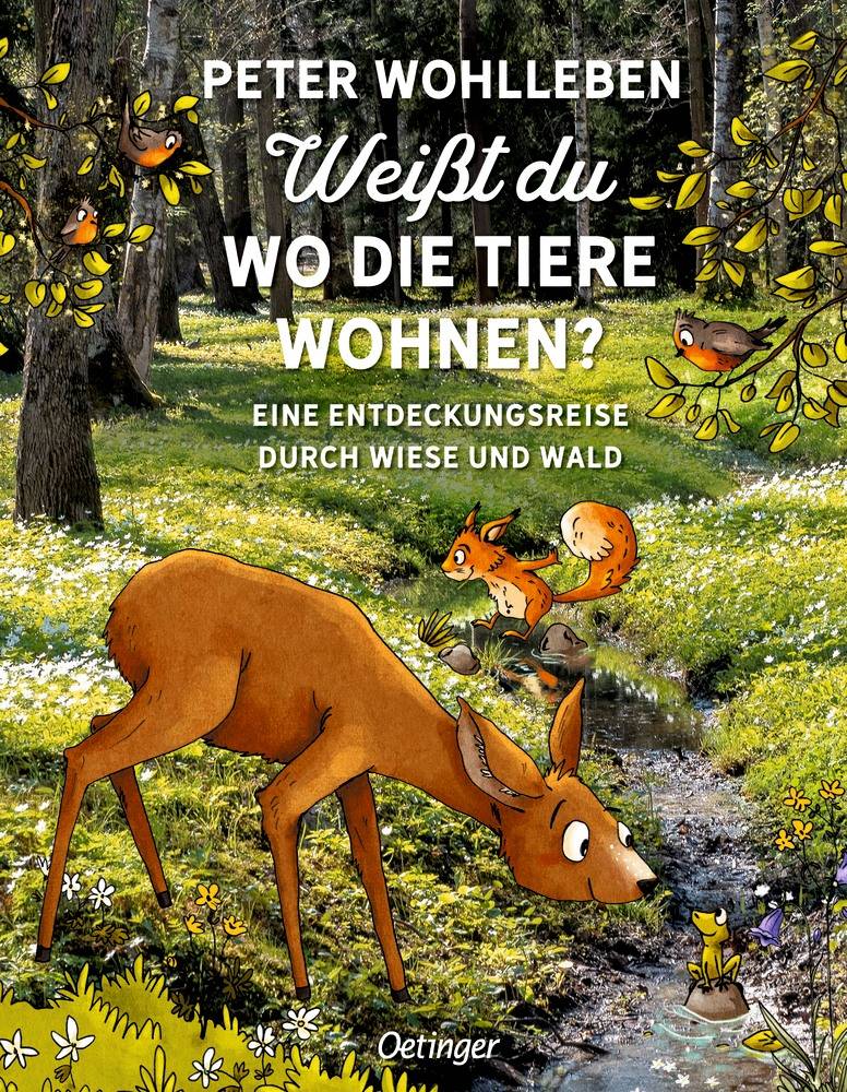 Weißt du, wo die Tiere wohnen? Eine Entdeckungsreise durch Wiese und Wald