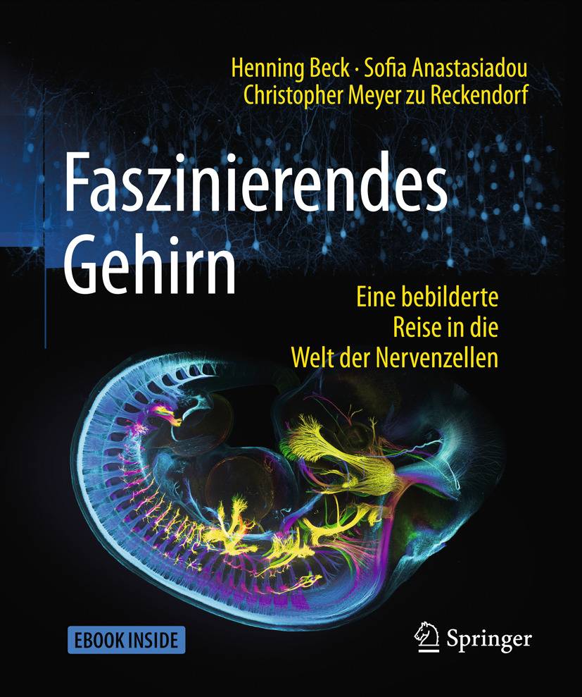 Faszinierendes Gehirn Eine bebilderte Reise in die Welt der Nervenzellen