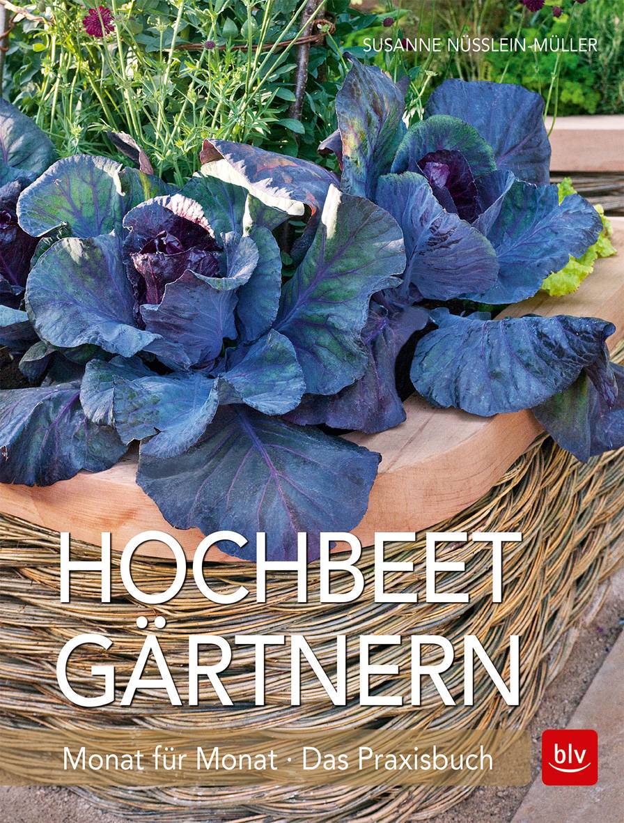 Hochbeet-Gärtnern Monat für Monat Das Praxisbuch
