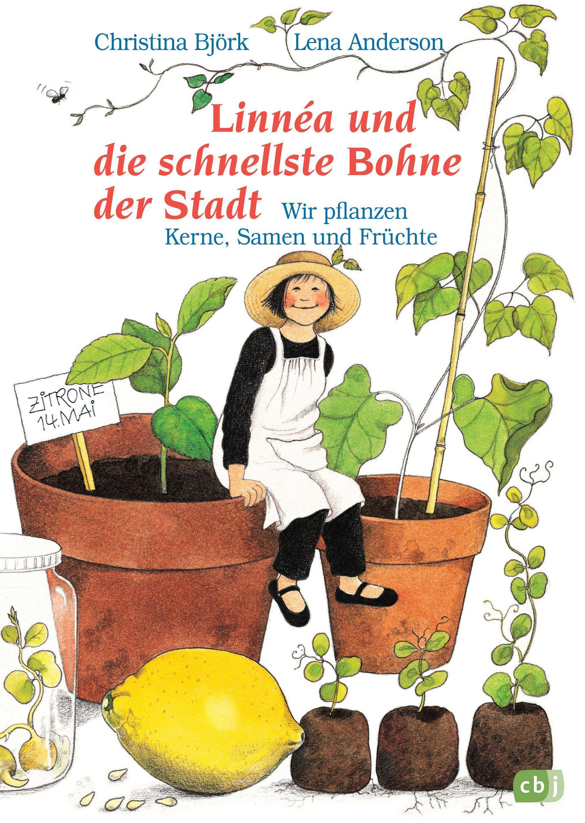 Die schnellste Bohne der Stadt Wir pflanzen Kerne, Samen und Früchte