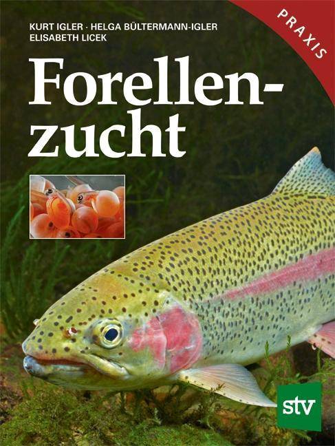 Forellenzucht Mit Räuchern!