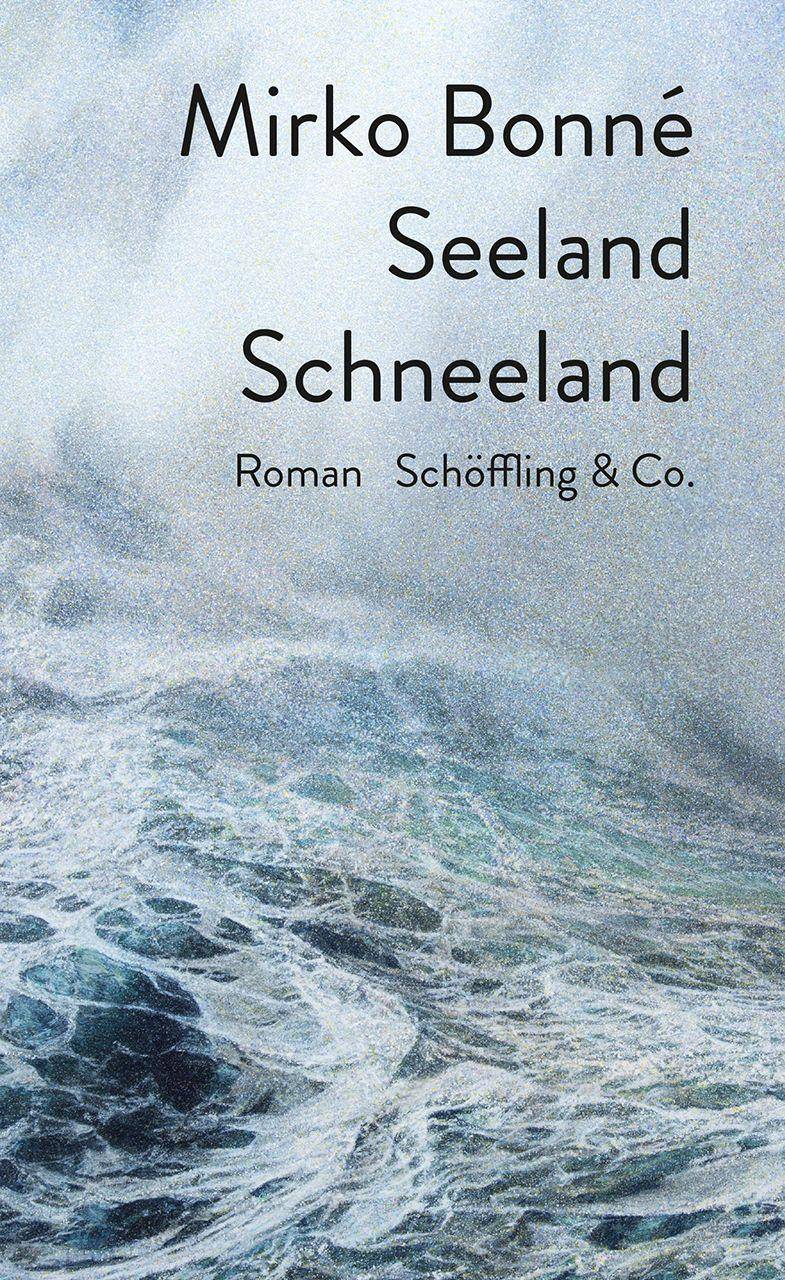 Seeland Schneeland Roman