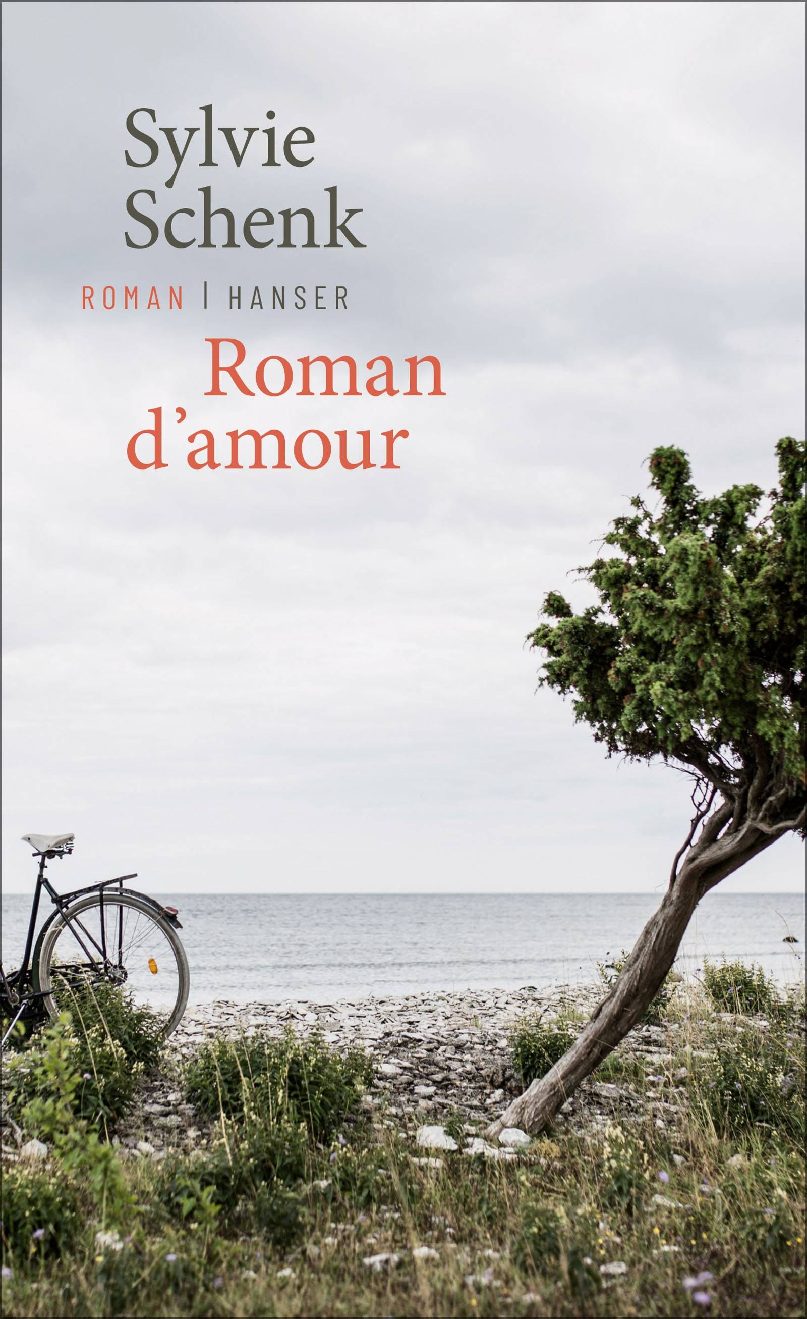 Roman d'amour Roman