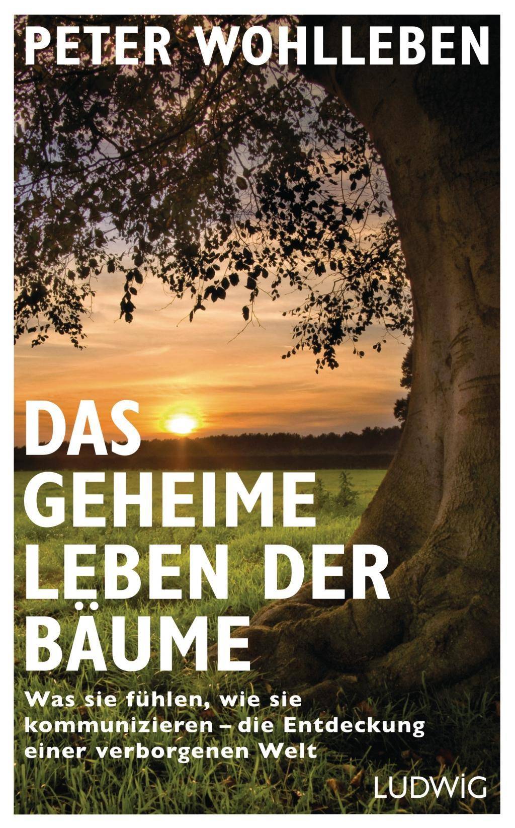 Das geheime Leben der Bäume Was sie fühlen, wie sie kommunizieren - die Entdeckung einer verborgenen Welt