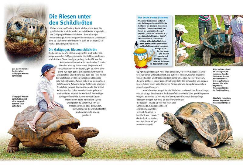 Entdecke die Schildkröten Mit großem Schildkröten-Quiz