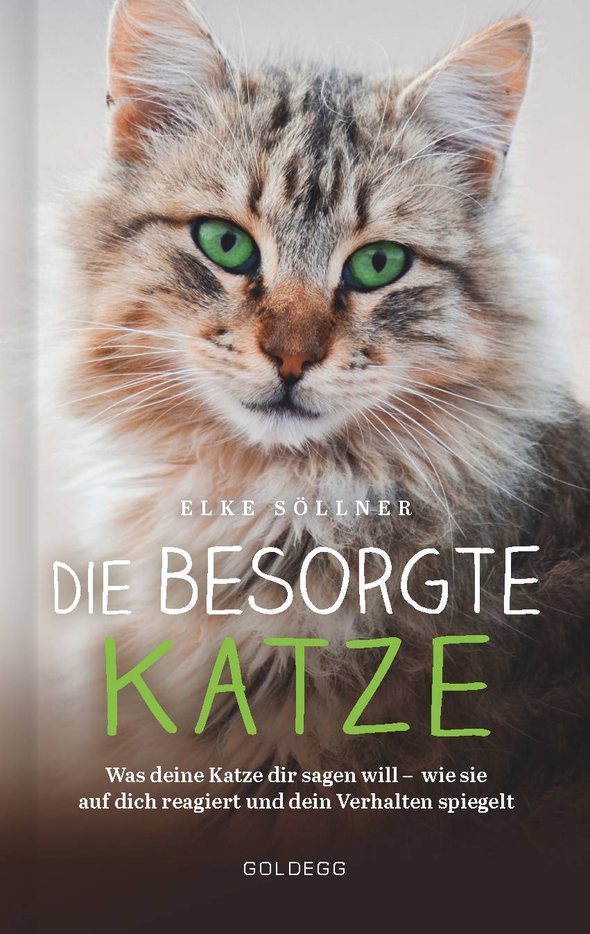Die besorgte Katze. Was Ihre Katze Ihnen sagen möchte. Warum Schnurren nicht immer Wohlgefühl bedeutet und wie Hauskatzen spüren, dass ihr Mensch