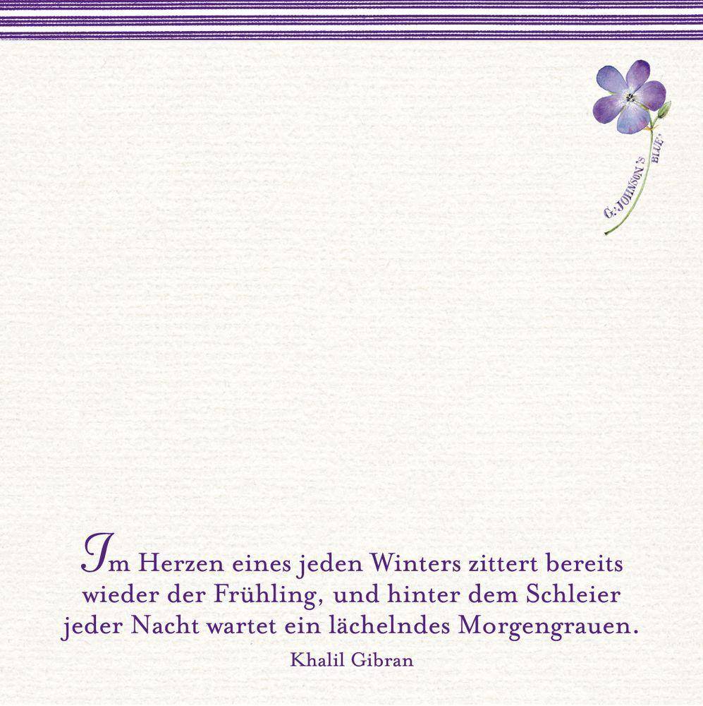 Zettelkästchen - Zauberhaft notiert! Zettelbox mit Sprüchen, Zettelkästchen mit 300 Sprüche-Zettel (10 x 10 cm) mit 50 unterschiedlichen Sprüchen