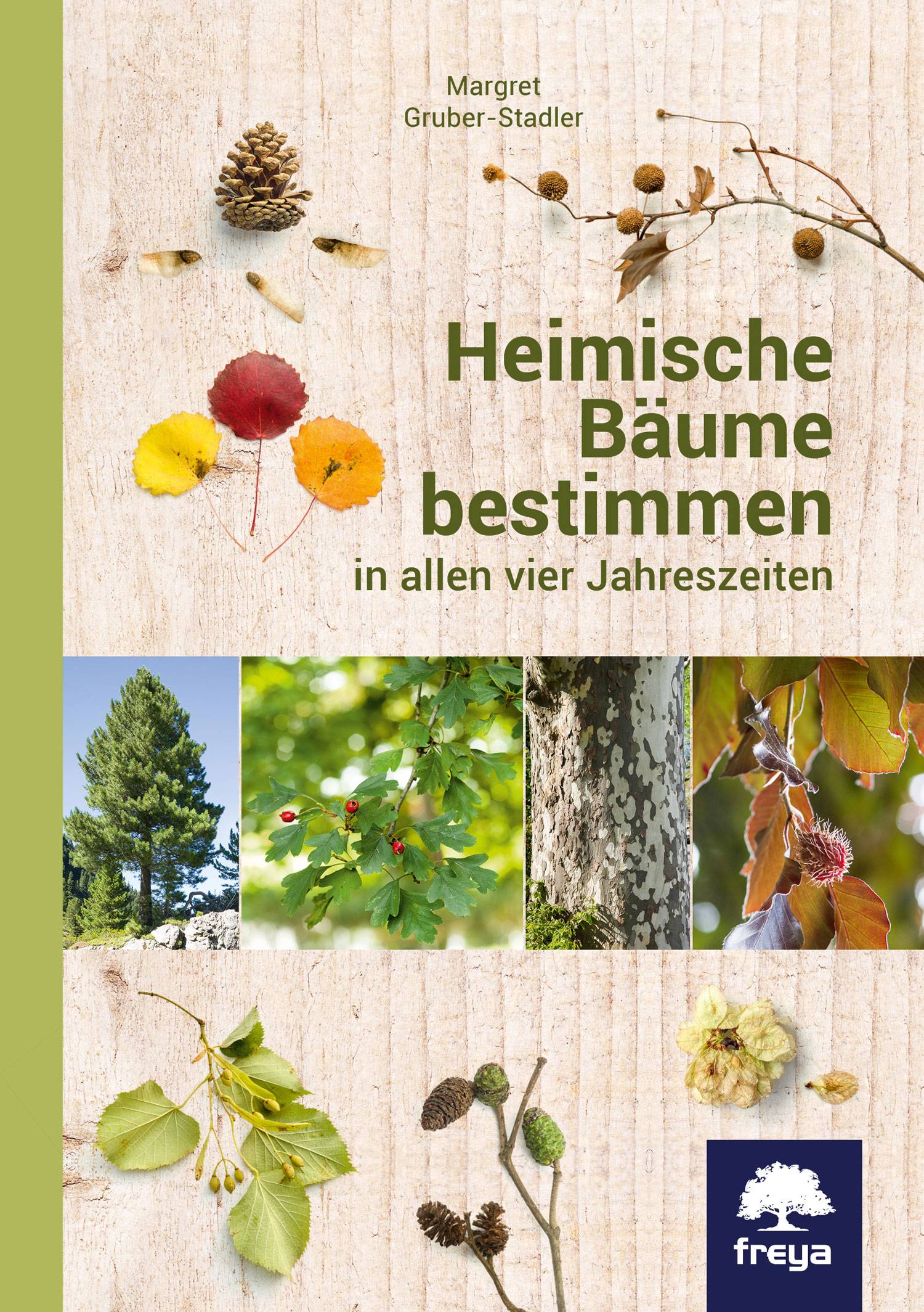 Heimische Bäume bestimmen in allen vier Jahreszeiten