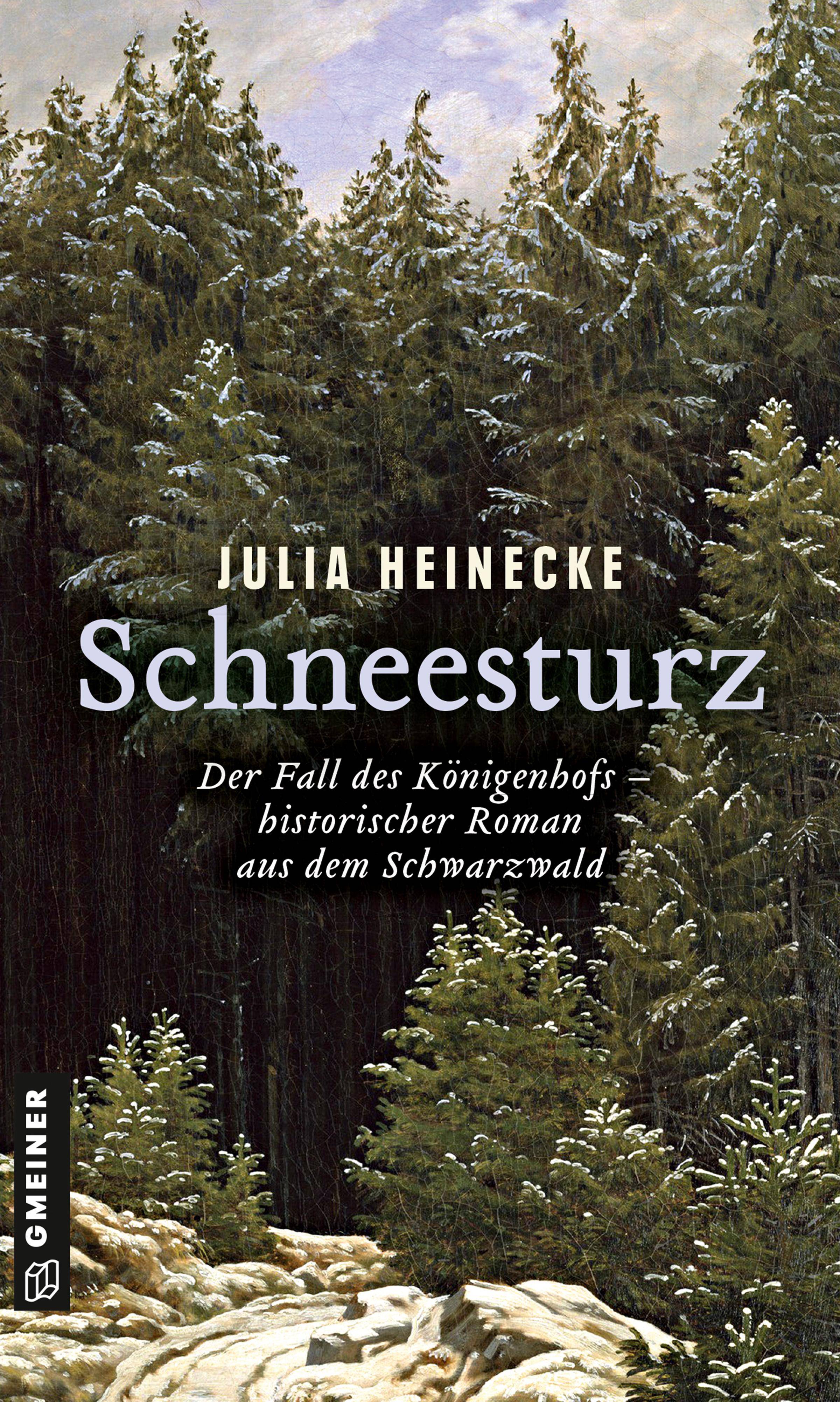 Schneesturz - Der Fall des Königenhofs Historischer Roman aus dem Schwarzwald