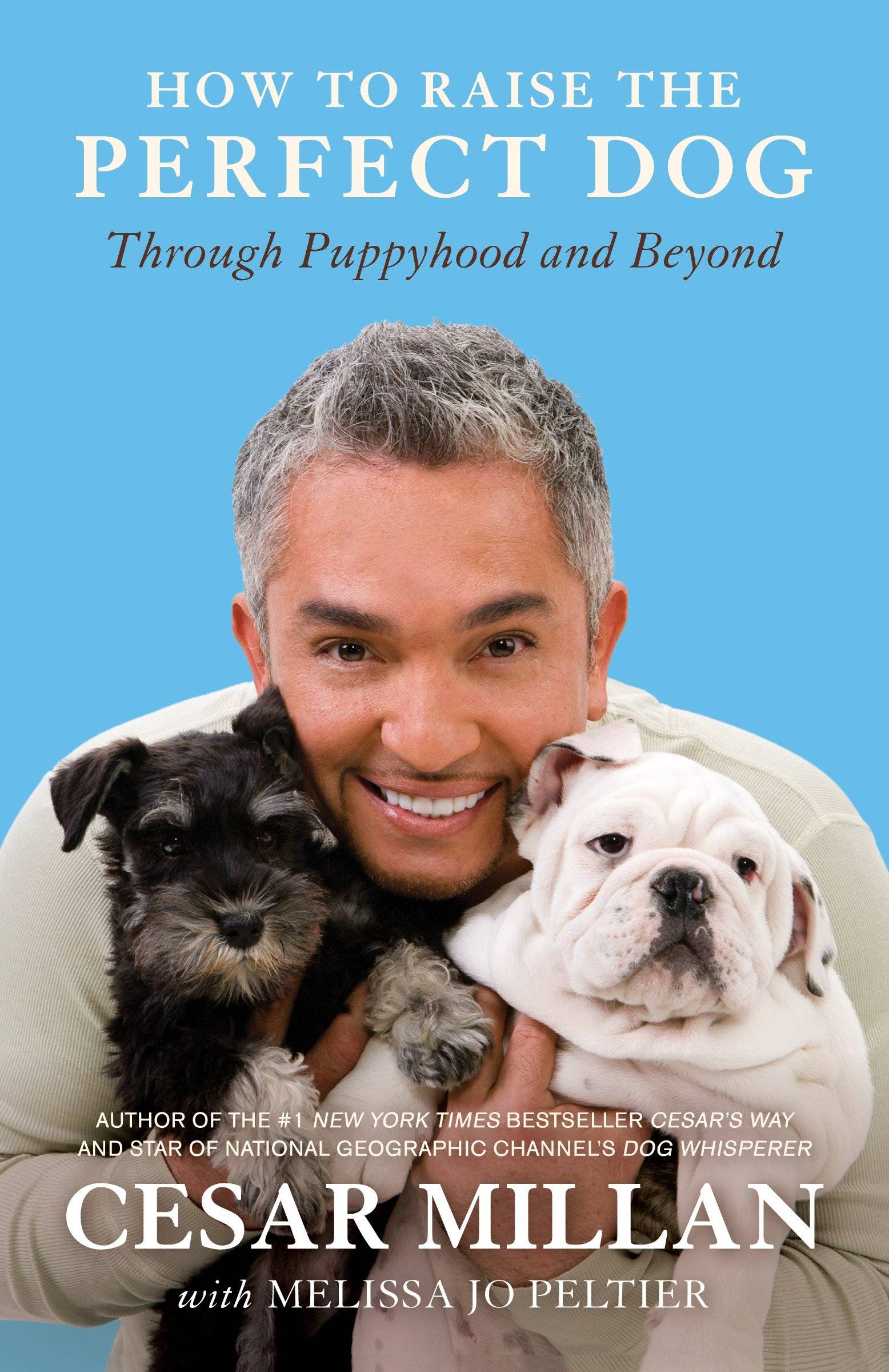 How to Raise the Perfect Dog Through Puppyhood and Beyond