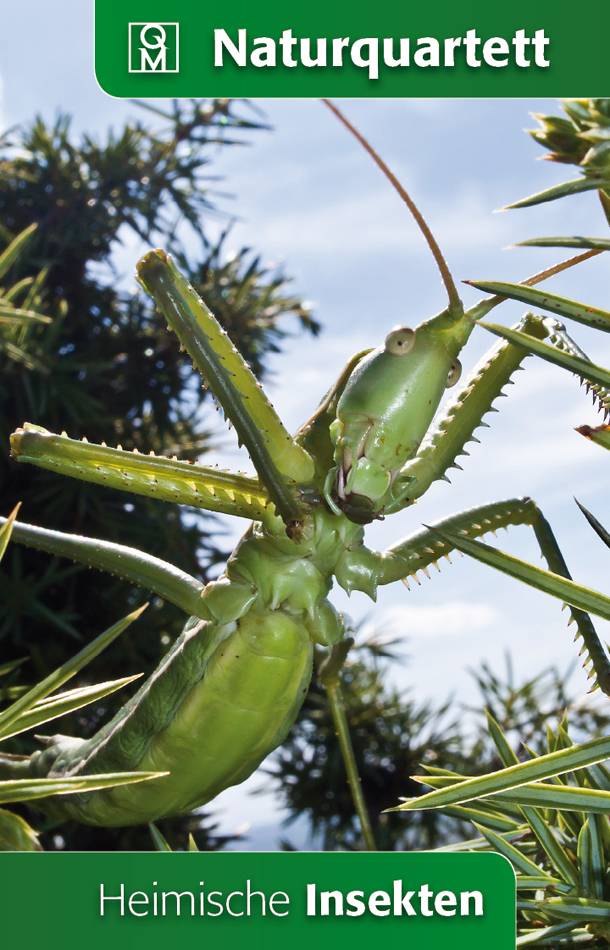 Heimische Insekten Quelle & Meyer Naturquartett