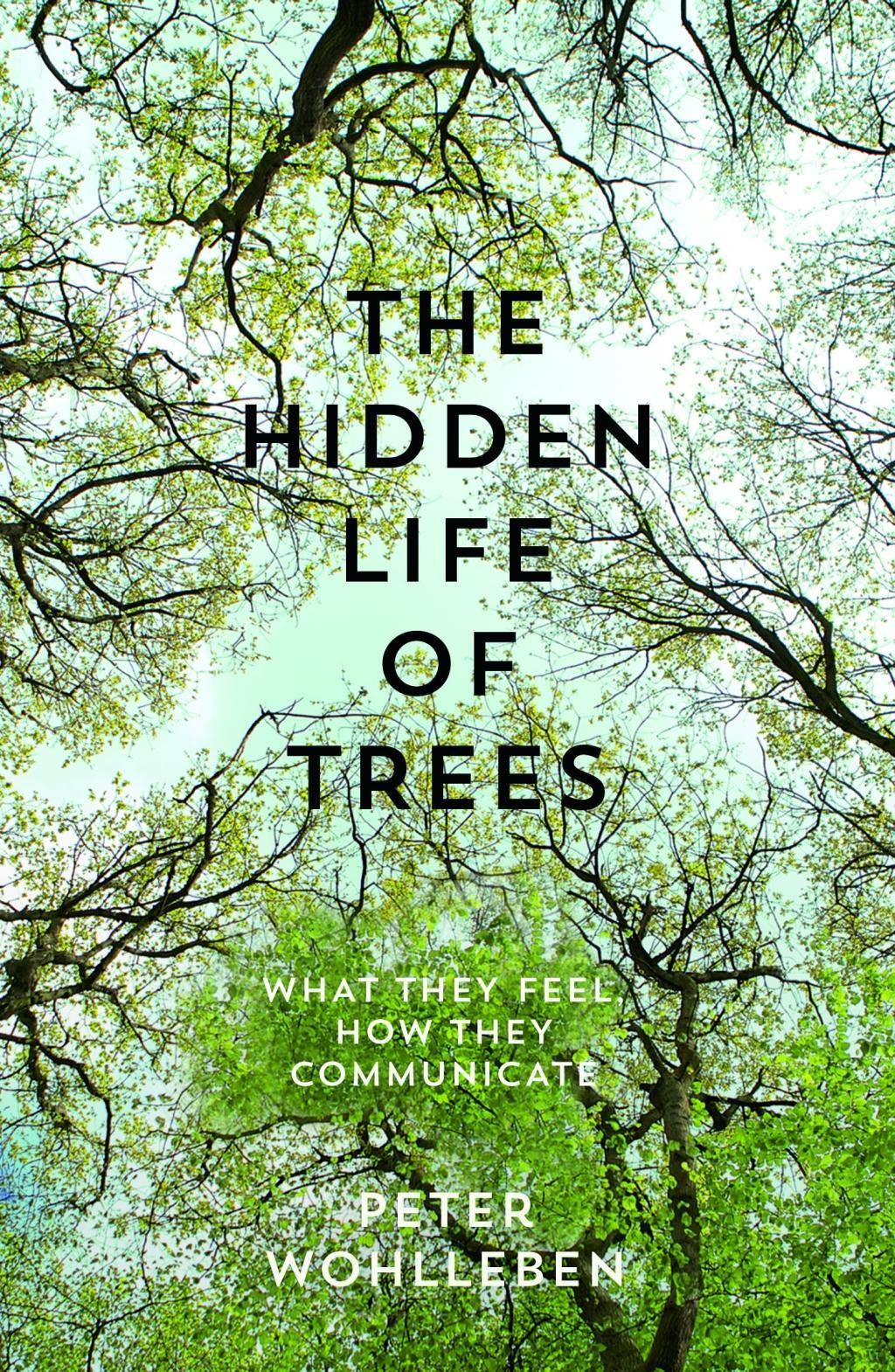 The Hidden Life Of Trees What They Feel, How They Communicate: Discoveries from a Secret World