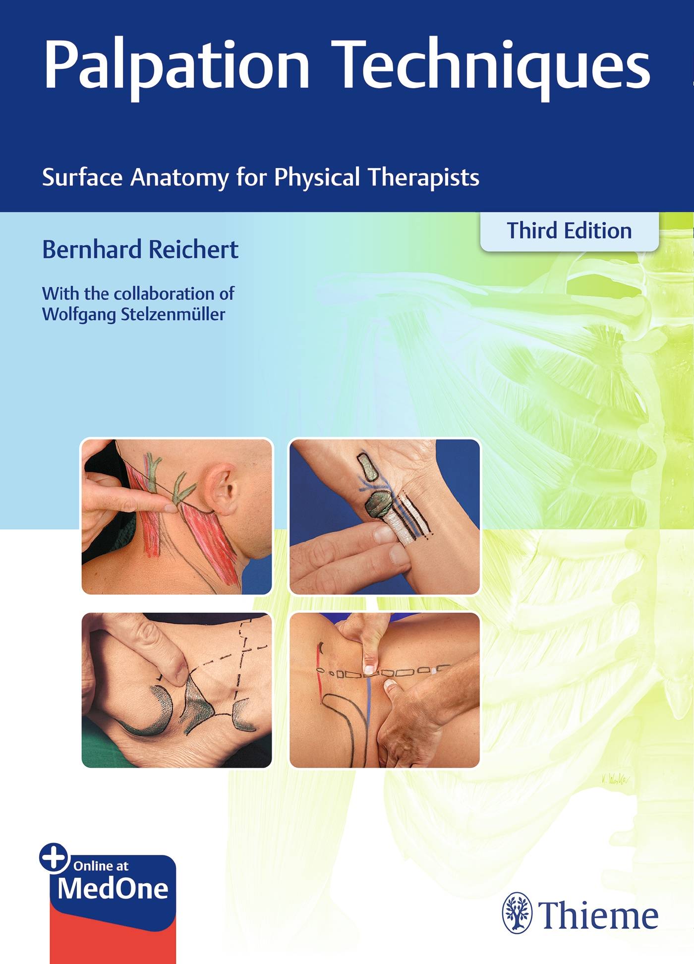 Palpation Techniques Surface Anatomy for Physical Therapists