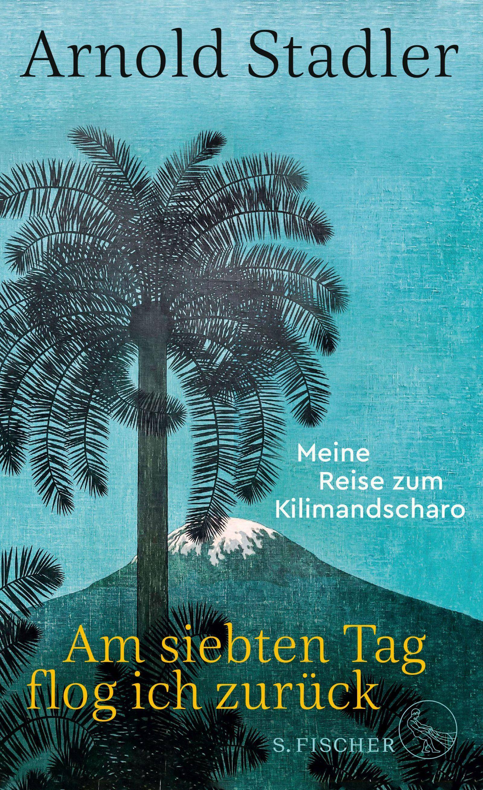 Am siebten Tag flog ich zurück Meine Reise zum Kilimandscharo