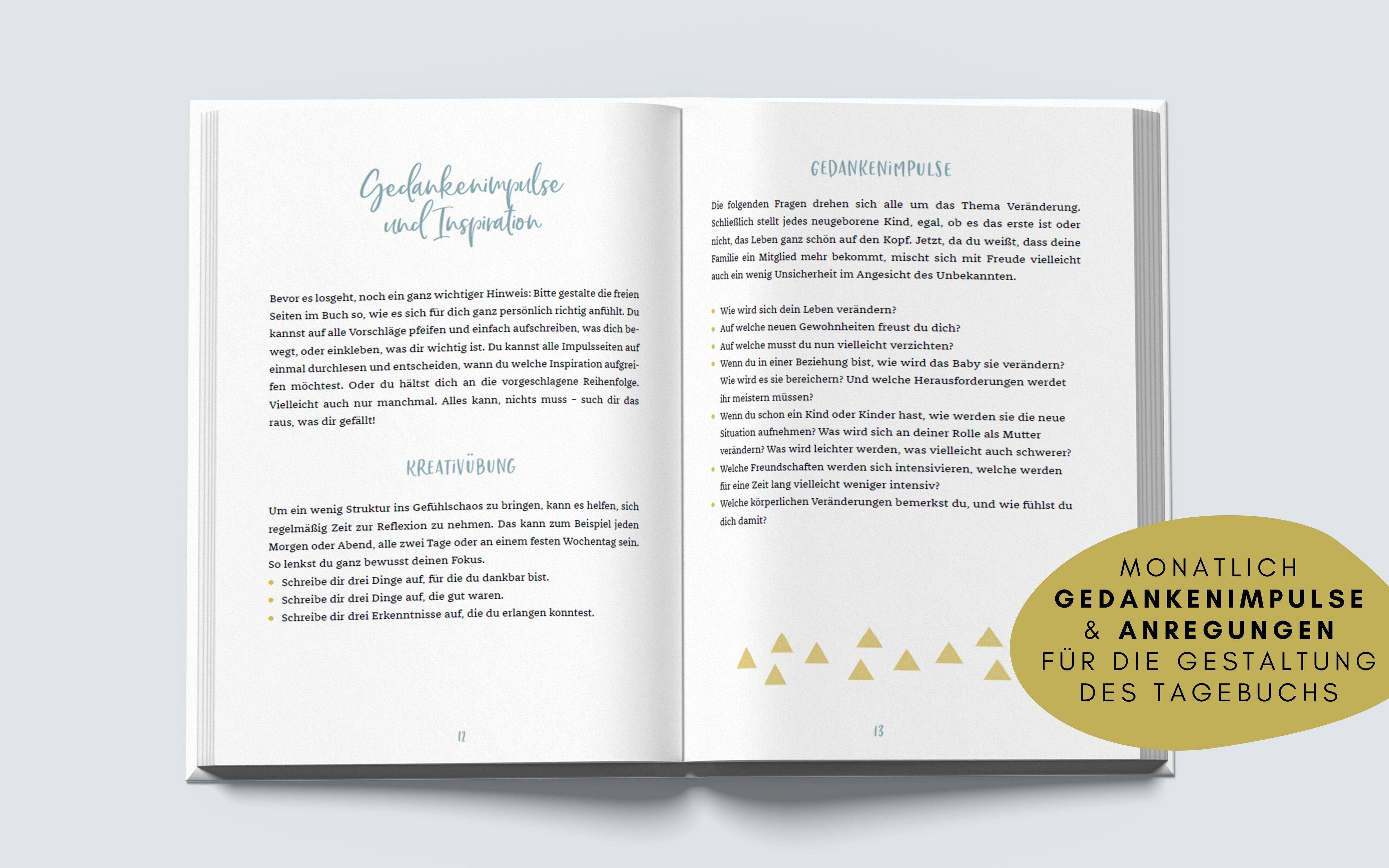 Das andere Schwangerschaftstagebuch (Dreieck-Edition) Selber eintragen und ausfüllen: Mit viel Platz für echte Gefühle, Gedanken, Bilder und Erinne