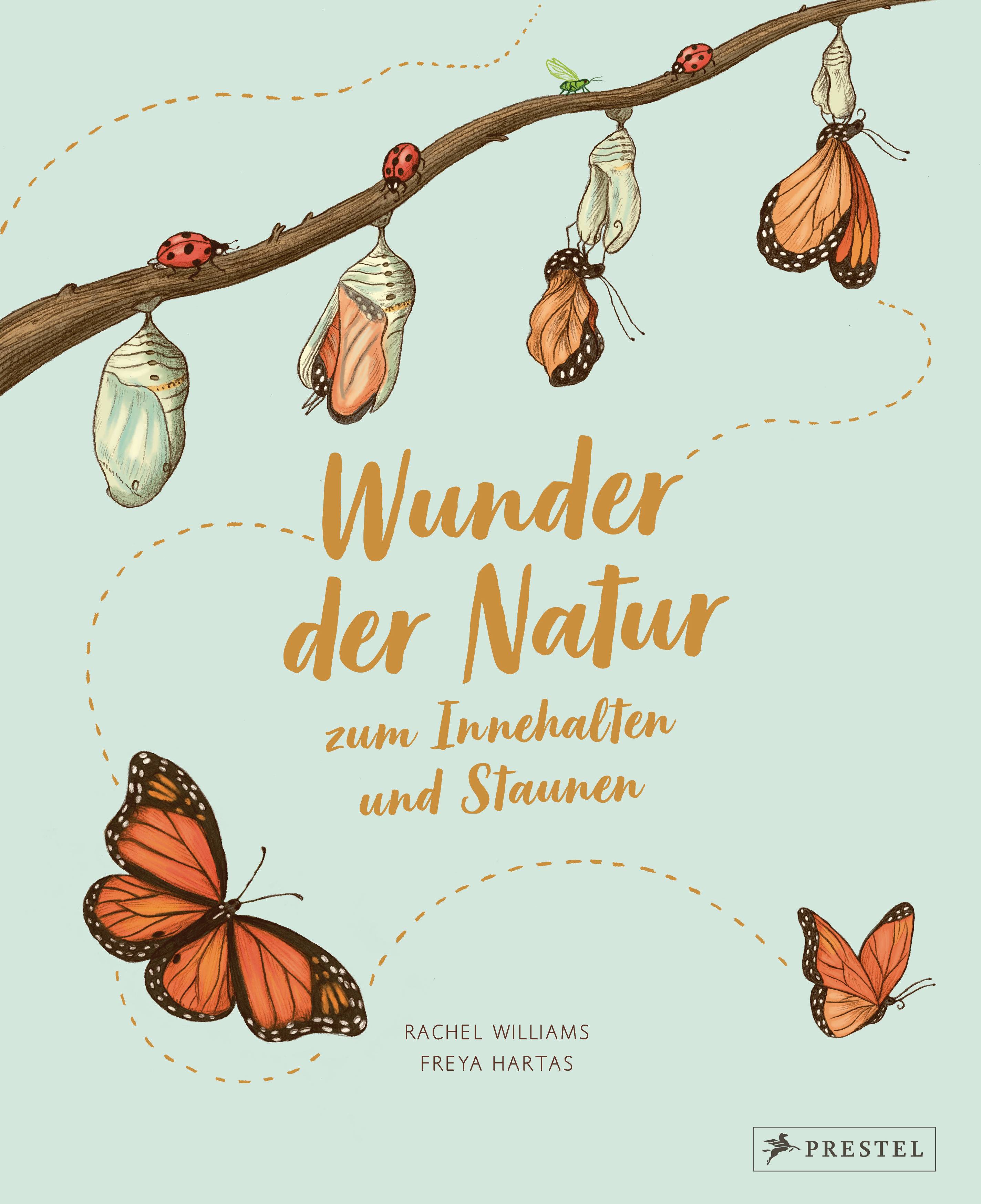 Wunder der Natur zum Innehalten und Staunen 50 wahre Wunder der Natur zum Innehalten und Staunen