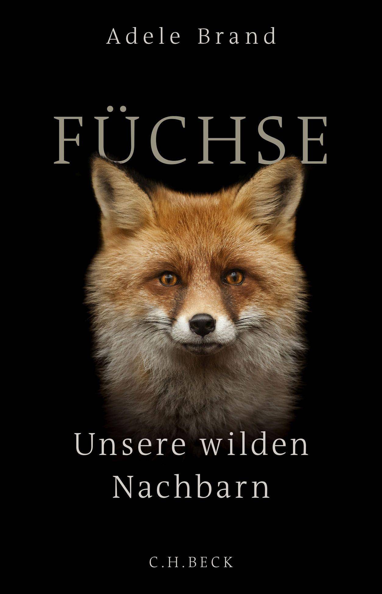 Füchse Unsere wilden Nachbarn