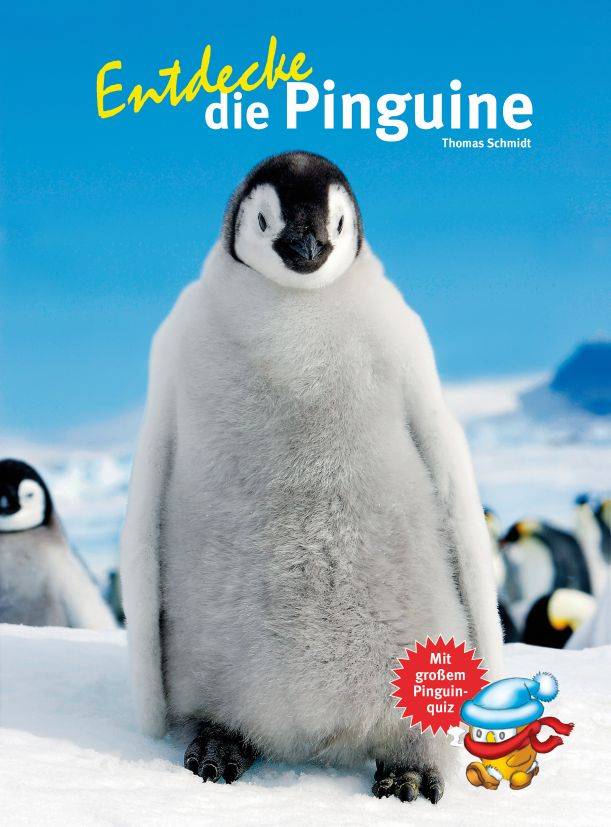 Entdecke die Pinguine Mit großem Pinguinquiz