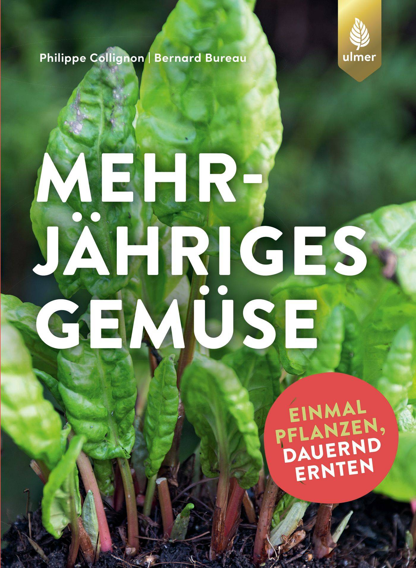 Mehrjähriges Gemüse Einmal pflanzen, dauernd ernten