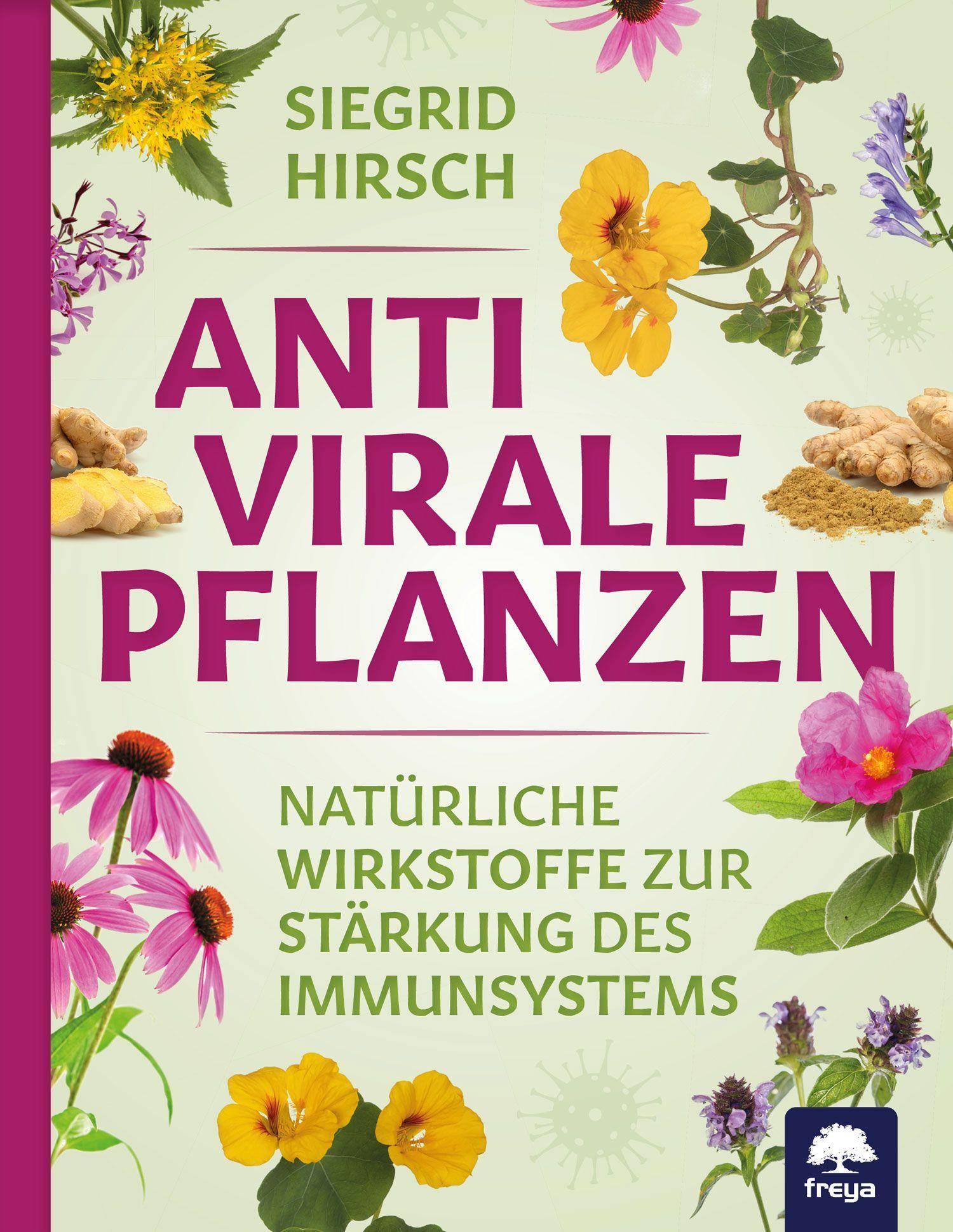 Antivirale Pflanzen Natürliche Wirkstoffe zur Stärkung des Immunsystems