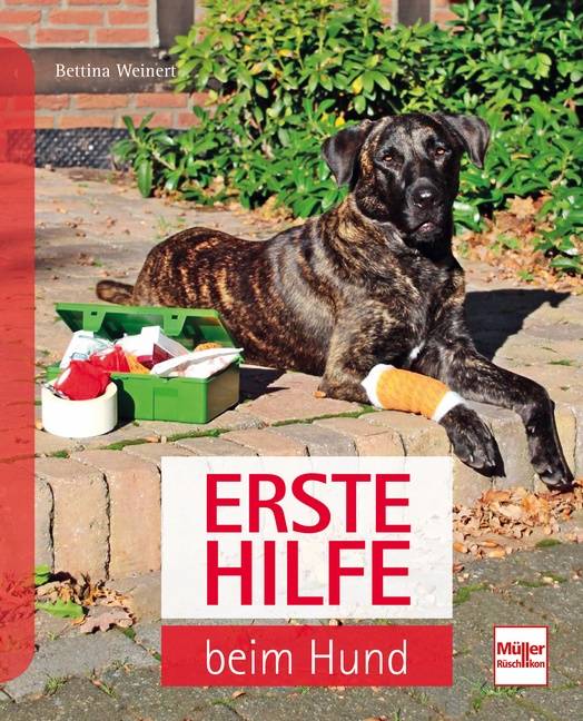 Erste Hilfe am Hund Für den Notfall gut gerüstet