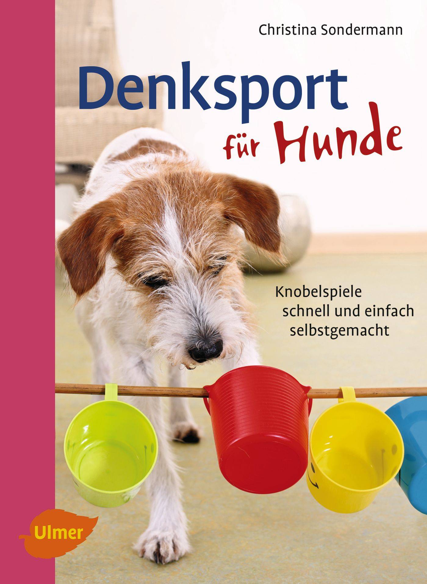 Denksport für Hunde Knobelspiele schnell und einfach selbstgemacht
