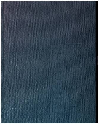Erfolgs-Journal