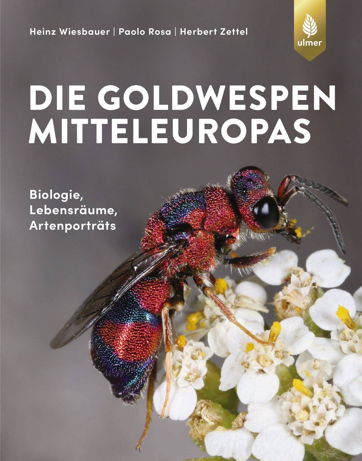 Die Goldwespen Mitteleuropas Biologie, Lebensräume, Artenportraits