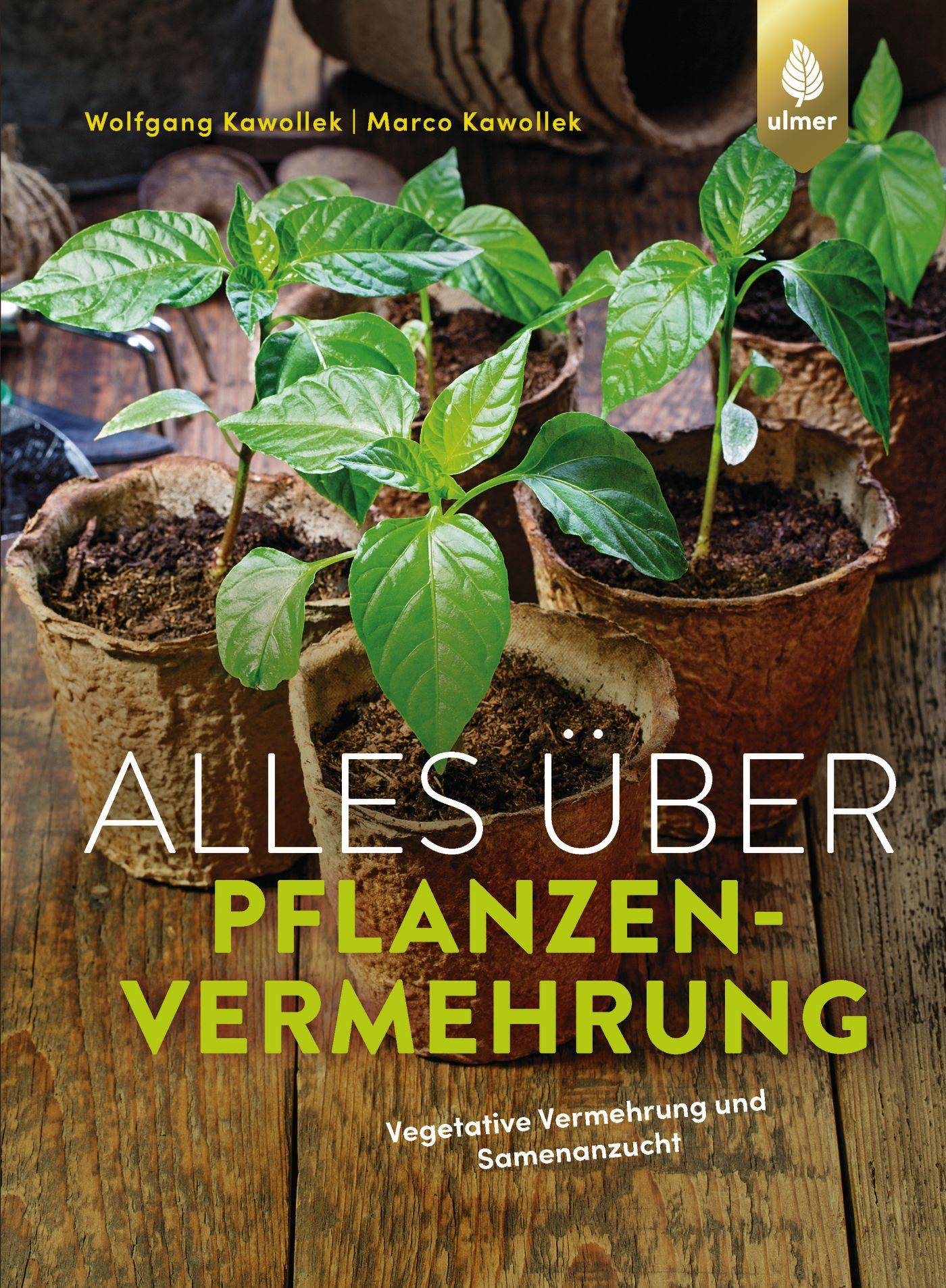 Alles über Pflanzenvermehrung Vegetative Vermehrung und Samenanzucht