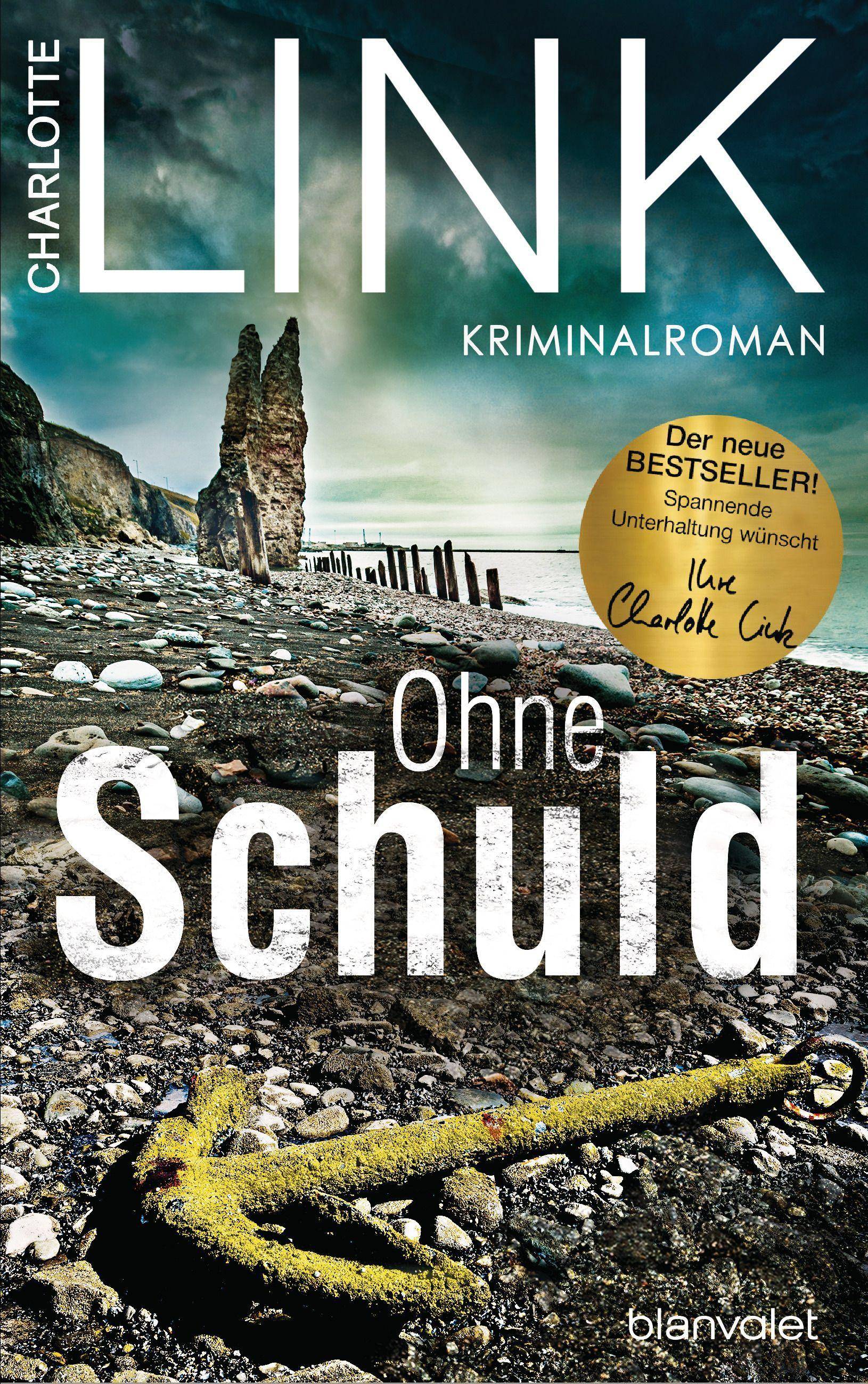 Ohne Schuld Kriminalroman