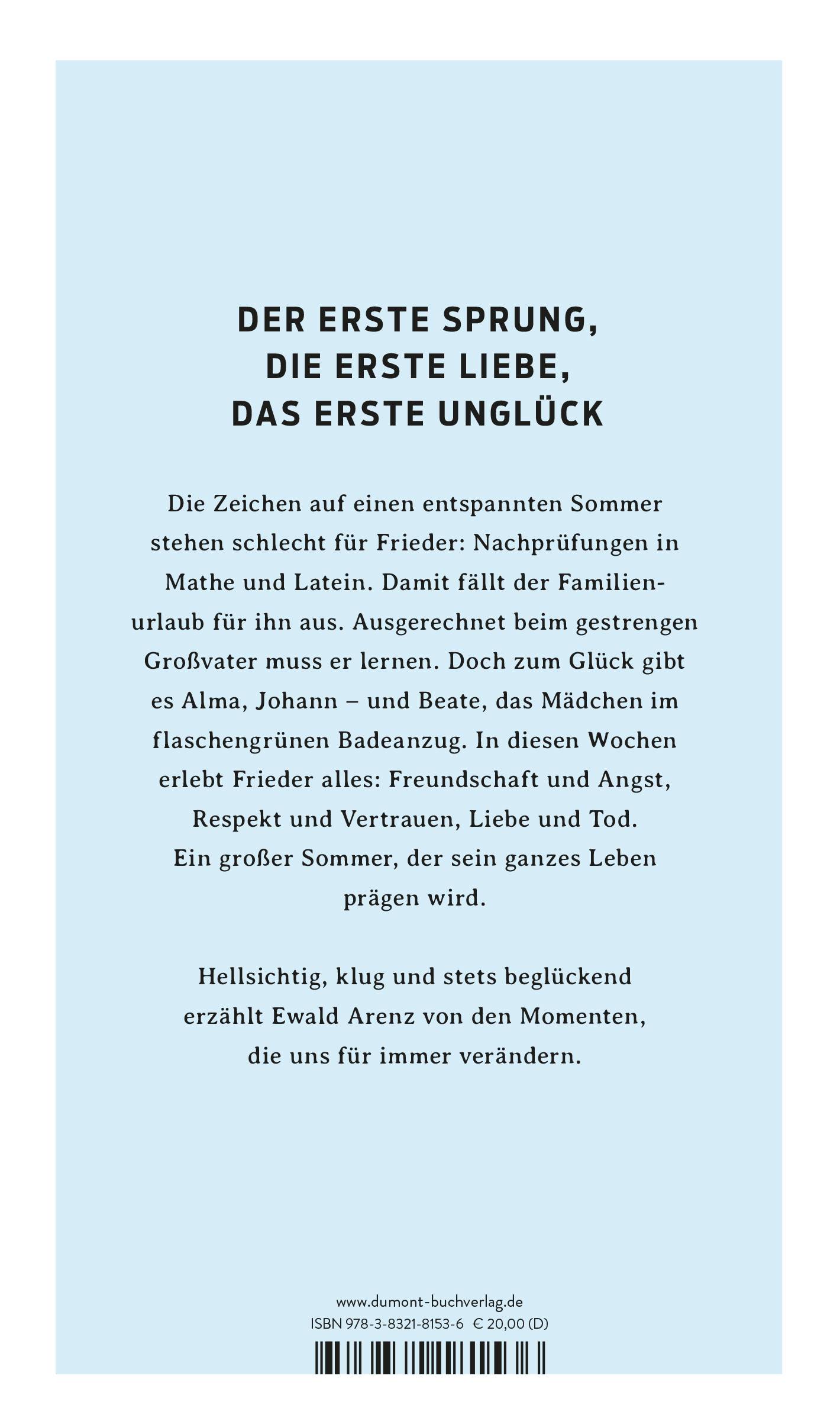 Der große Sommer Roman|Roman|Roman
