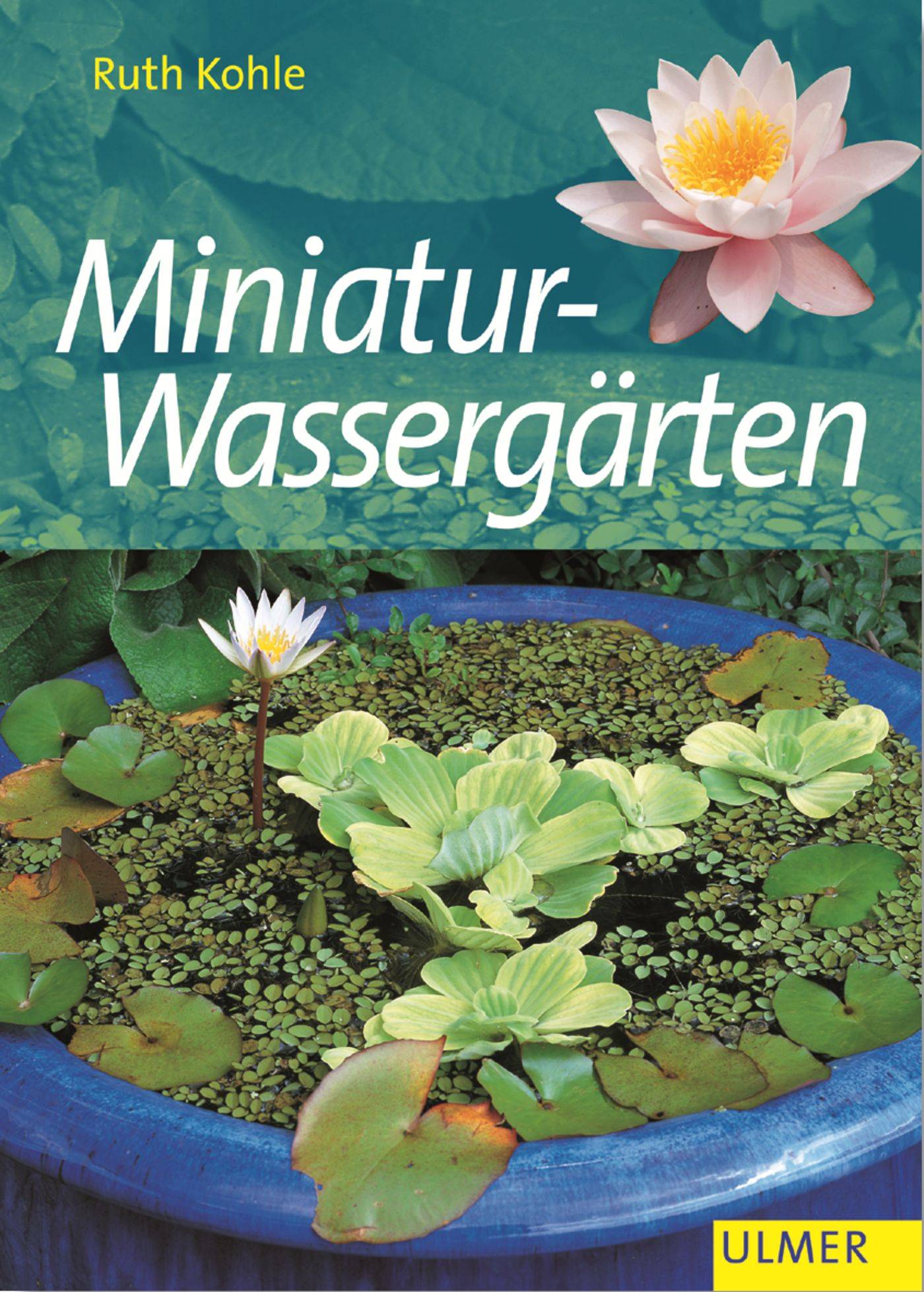 Miniatur-Wassergärten Garten-Ratgeber