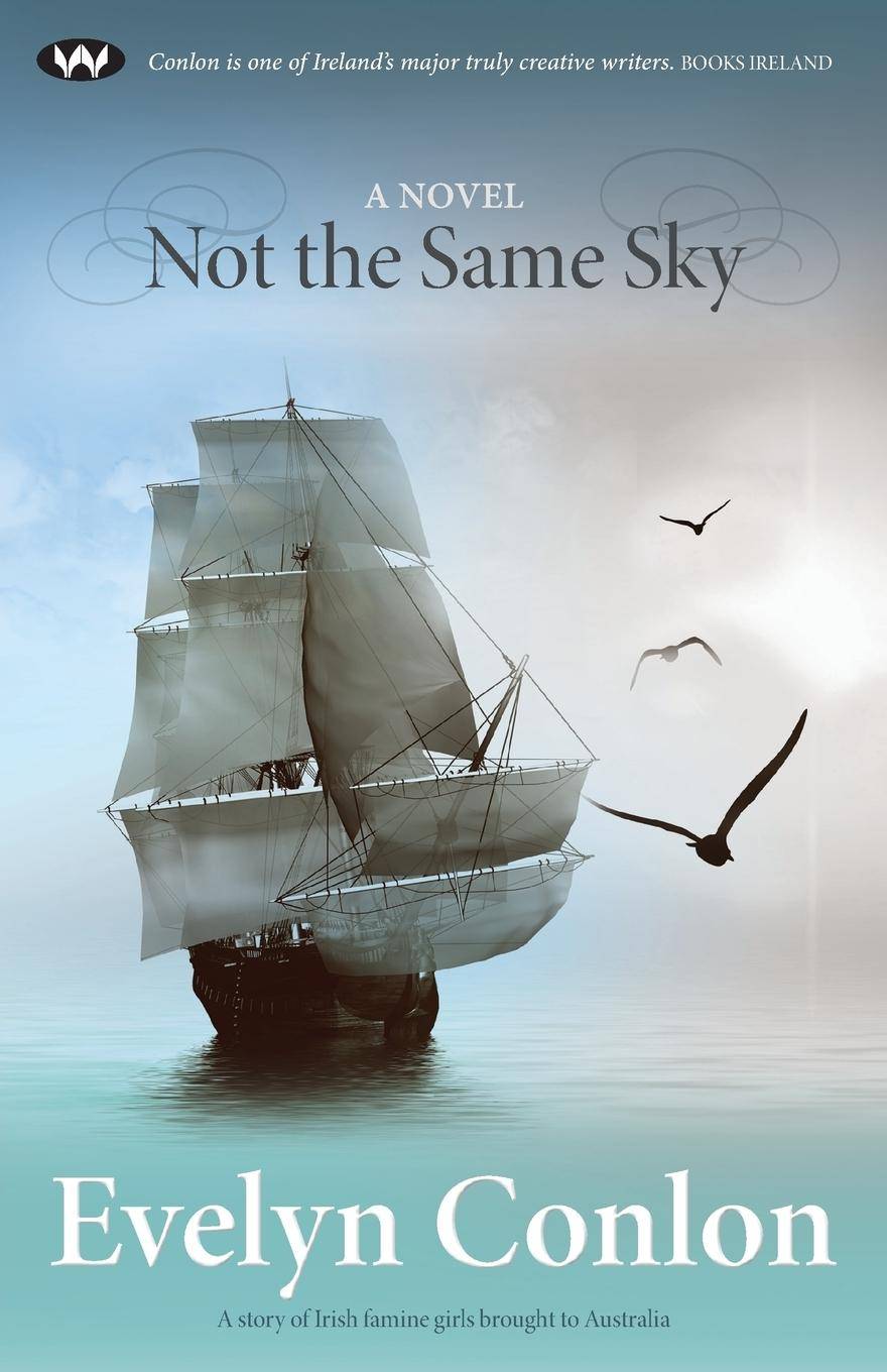 Not the Same Sky A novel