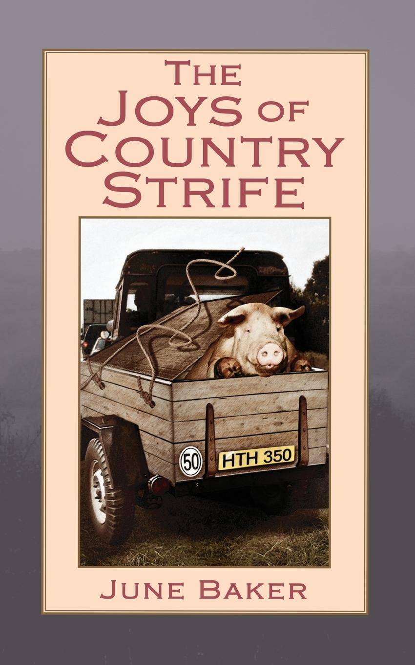 The Joys of Country Strife