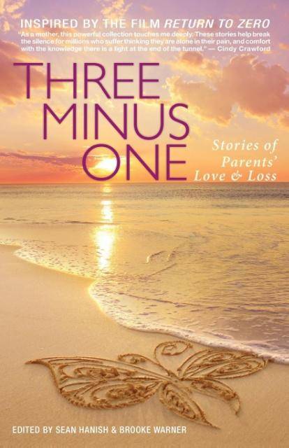 Three Minus One Stories of Parents' Love and Loss