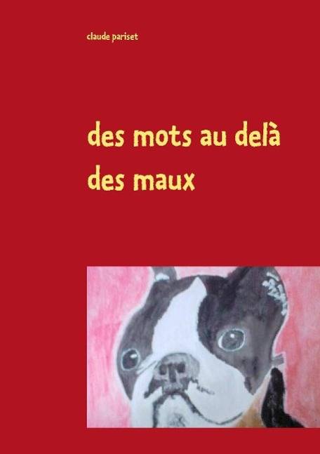 des mots au delà des maux chroniques