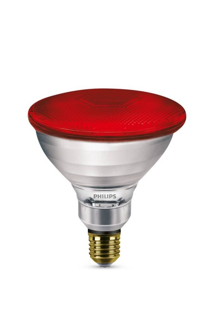 Philips Lighting Infrarot-Wärmelampe IR 175 R PAR38/240V