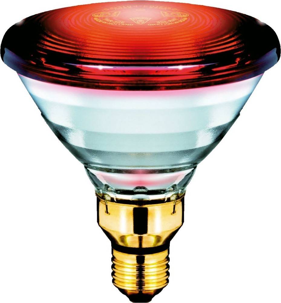 Philips Lighting Infrarotlampe PAR38IR150 #16675398