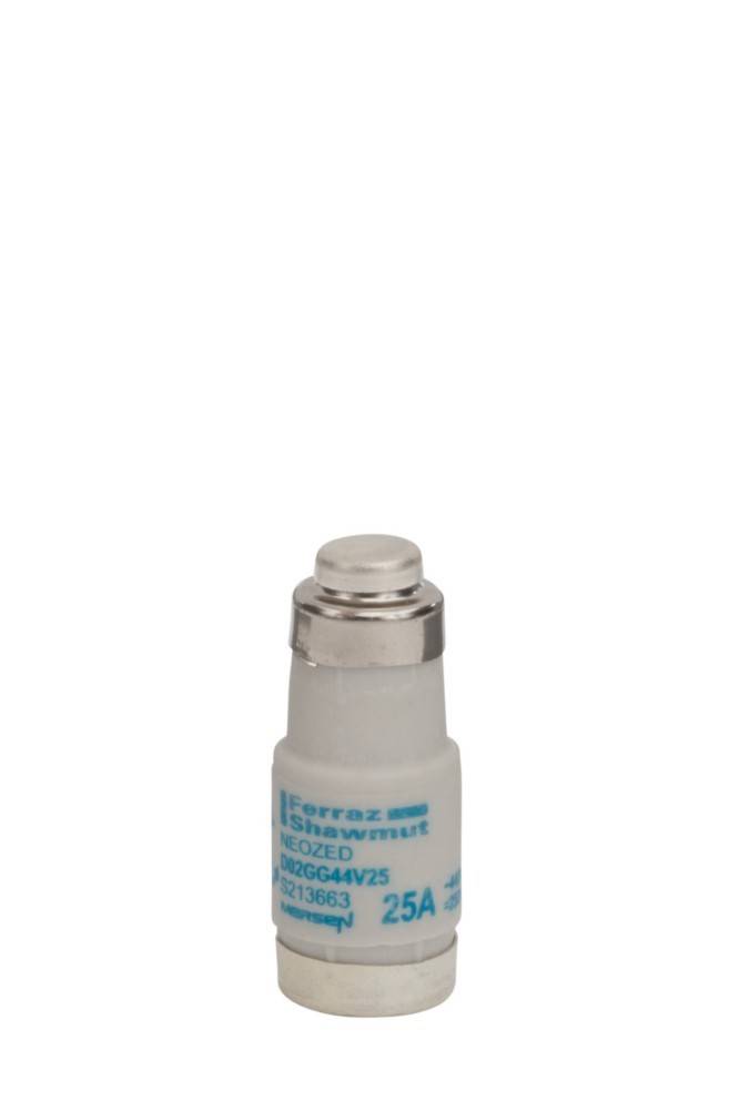 Mersen Sicherungseinsatz gG D02GG44V25