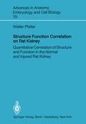 Structure Function Correlation on Rat Kidney Quantitative Correlation of Structure and Function in the Normal and Injured Rat Kidney