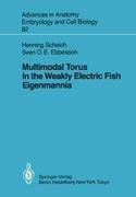 Multimodal Torus in the Weakly Electric Fish Eigenmannia Advances in Anatomy, Embryology and Cell Biology 82