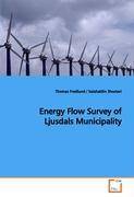 Energy Flow Survey of Ljusdals Municipality
