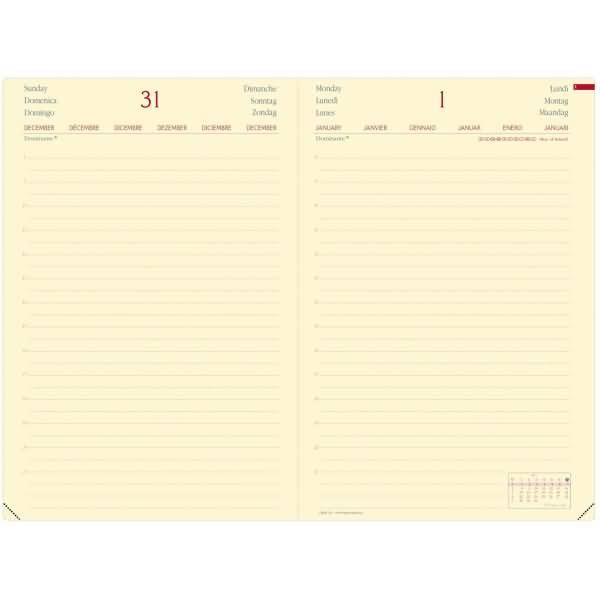 Buchkalender Daily 24 16x24cm Brand Lavendelblau 2026