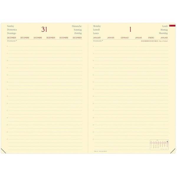 Buchkalender Daily 24 16x24cm Brand Lavendelblau 2027