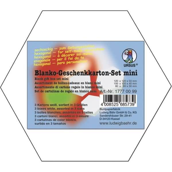 Geschenkkarton-Set sechseckig blanko VE=3 Stück