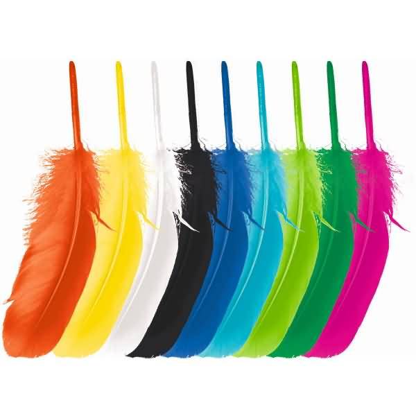 Indianerfedern VE=50 Stück (10 Farben)